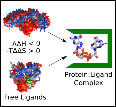 Publications Evzen Boura Group